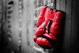 Как выбрать перчатки для бокса или смешанных единоборств?